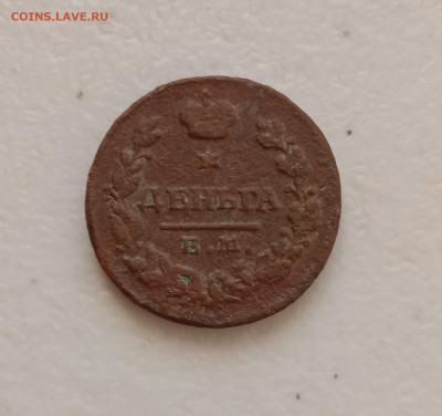 Денга 1828 . До 24.03.22 в 22.00 МСК - а1