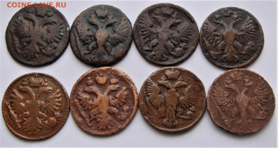 Денга. 8 монет одним лотом.  До 26.03.22г в 22.00 МСК - DSC01845