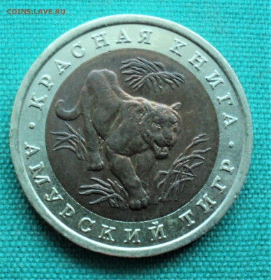 10 руб. 1992г. Амурский тигр. до 26.03. - DSC04700.JPG