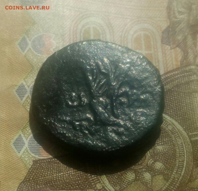 Понт,Амис.(Горгона,Ника) до 25..03.22. в 22.00.мск - IMG_20220323_141008