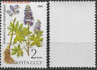 Марки СССР 1985. №5649. Живокость сетчатоплодная - 5649