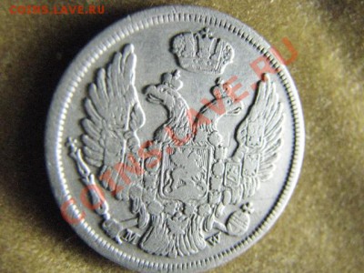 15копеек 1zloty до 22.11.11г - 2