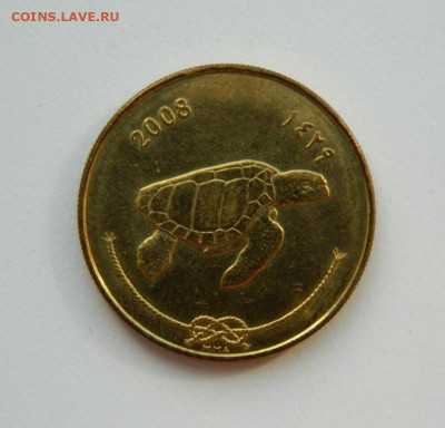 Мальдивские острова 50 лари 2008 г. (Фауна) до 30.03.22 - DSCN3823.JPG