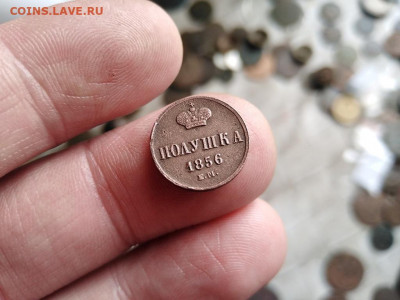 полушка 1856 ЕМ до 28.03.2022 - 1856 (44) - копия