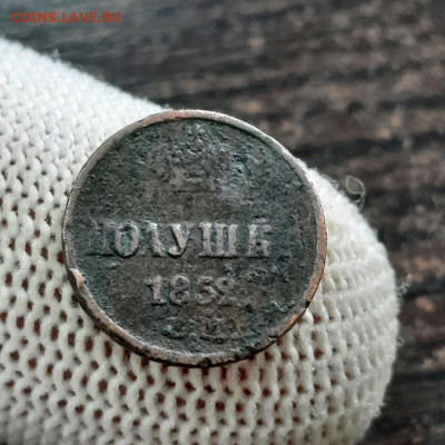 Пара полушек 1852 + 1857 гг - 28-03-22 - 23-10 мск - image015
