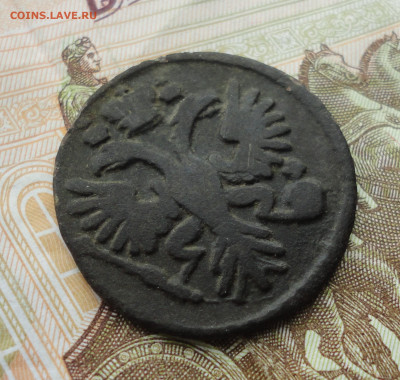 Денга 1731 года одна черта. До 30.03.22. - DSC09276.JPG