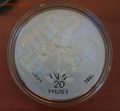 Беларусь,20 рублей, 2008 Зимородок, до 31.03. - 20220325_171828