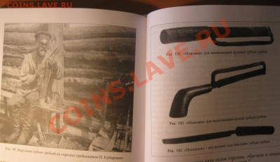 Лесной конкурс грамотности. - 383876