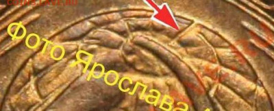 Шт.1.2 - Сетка 1.2a