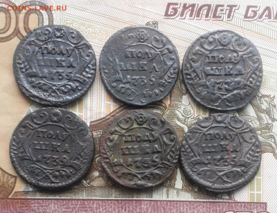 Полушки 1731,35,36 года - 20220327_104252