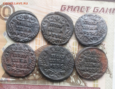 Полушки 1731,35,36 года - 20220327_105352