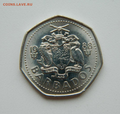 Барбадос 1 доллар 1988 г. (Фауна) до 31.03.22 - DSCN3898.JPG