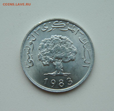 Тунис 5 миллимов 1983 г. до 31.03.22 - DSCN3878.JPG