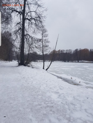 делает - прямо сейчас !!! - Screenshot_20220328-072342_Gallery
