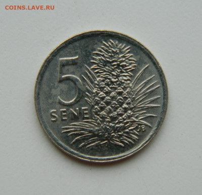 Самоа 5 сене 2000 г. до 31.03.22 - DSCN3920.JPG