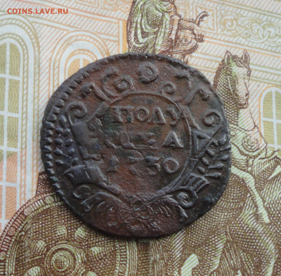 Кладовая полушка 1730 года перечекан. Лот №-1 До 31.03.22. - DSC09317.JPG