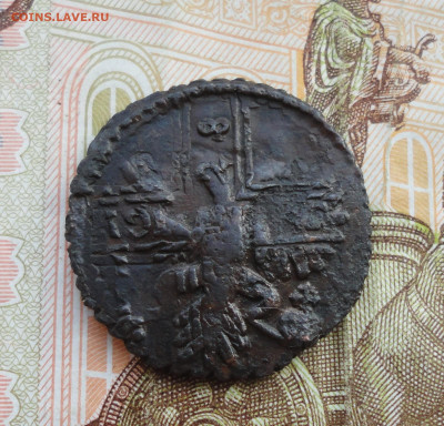 Кладовая полушка 1731 года перечекан. Лот №-1 До 31.03.22. - DSC09336.JPG