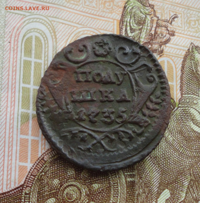 Кладовая полушка 1735 года. Перечекан. До 31.03.22. - DSC09368.JPG