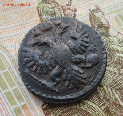 Кладовая полушка 1736 года. Лот №-2 До 31.03.22. - DSC09382.JPG