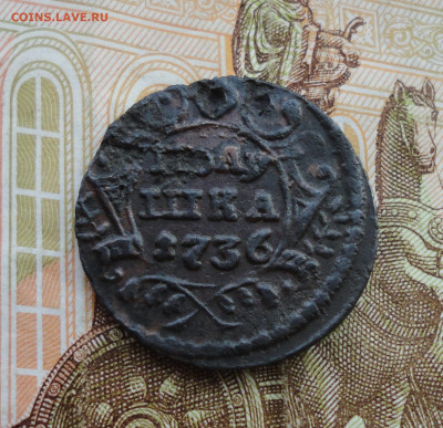 Кладовая полушка 1736 года. Лот №-2 До 31.03.22. - DSC09378.JPG