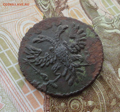 Кладовая полушка 1734 года. Лот №-2 До 31.03.22. - DSC09404.JPG