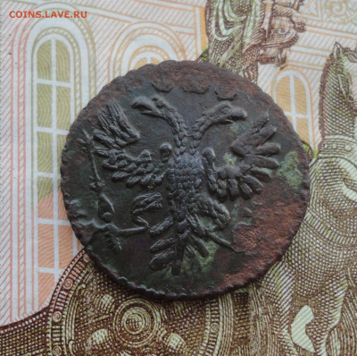 Кладовая полушка 1734 года. Лот №-2 До 31.03.22. - DSC09402.JPG