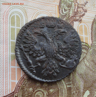 Кладовая полушка 1734 года. Лот №-3 До 31.03.22. - DSC09407.JPG