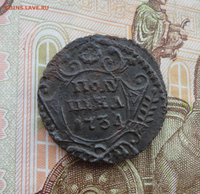 Кладовая полушка 1734 года. Лот №-3 До 31.03.22. - DSC09405.JPG