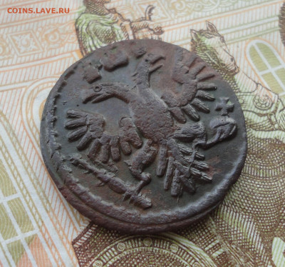 Кладовая полушка 1735 года. Гладкий гурт.  До 31.03.22. - DSC09414.JPG