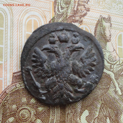 Кладовая полушка 1736 года. Гладкий гурт. До 31.03.22. - DSC09420.JPG
