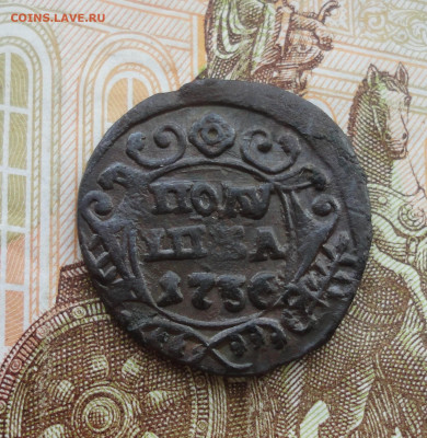 Кладовая полушка 1736 года. Гладкий гурт. До 31.03.22. - DSC09417.JPG