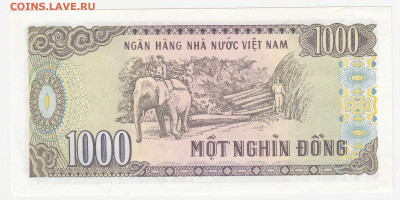 Вьетнам, 1000 донг 1988 до 31.03.22, 23:00 - IB-5-r