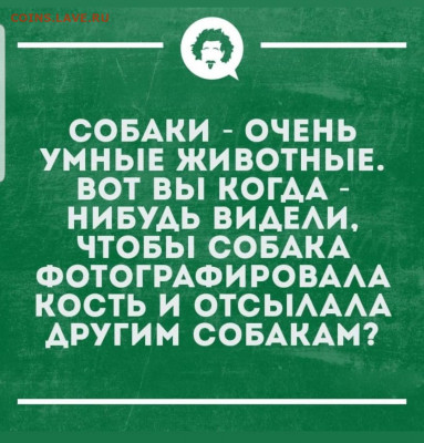 юмор - Screenshot_20220328-221313_Instagram
