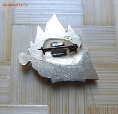 Знак АРТЕК, барабан, горн. - P1060277.JPG