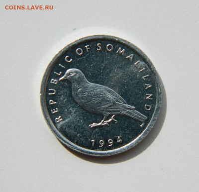 Сомалиленд 1 шиллинг 1994 г. (Фауна). до 04.04.22 - DSCN4060.JPG