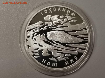 3р 2008г Речной бобр - пруф серебро Ag925, до 02.04 - Y РЕЧНОЙ БОБР-1