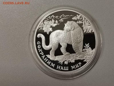 3р 2011г Переднеазиатский леопард - пруф Ag925, до 03.04 - Y ЛЕОПАРД переднеазиатский-1