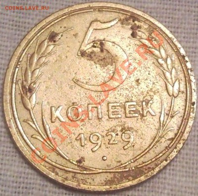 5коп 1929г - 5 коп 1929_1