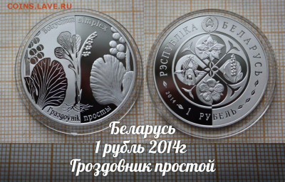 Беларусь 1 рубль 2014 Гроздовник. До 5.04. в 22:00 - п