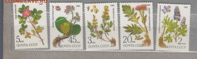 СССР 1985 лекарственные растения 5м** до 07 04 - 85з
