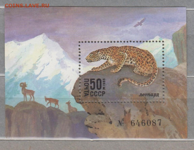 СССР 1985 Красная книга леопард блок ** до 07 04 - 85к-1