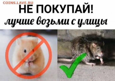 юмор - лапочка