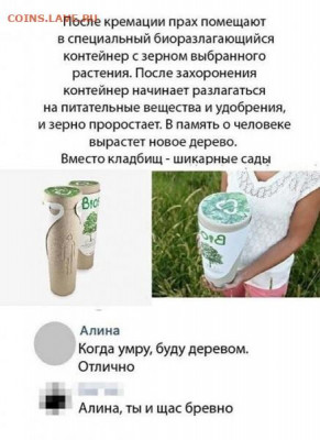 юмор - бревно