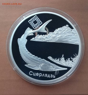Беларусь,20 рублей 2007, Стерлядь, до 07.04. - 20220402_140304