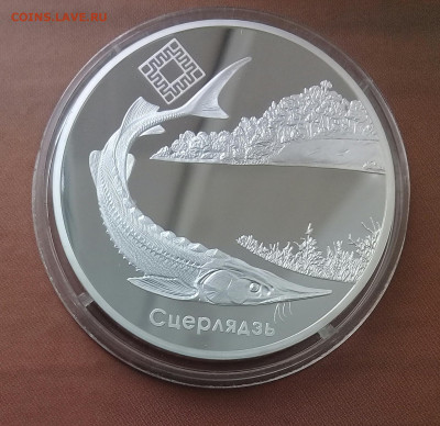 Беларусь,20 рублей 2007, Стерлядь, до 07.04. - 20220402_140323