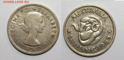 Австралия шиллинг 1955 г Елизавета II - 7.04 - IMG_20220212_172056