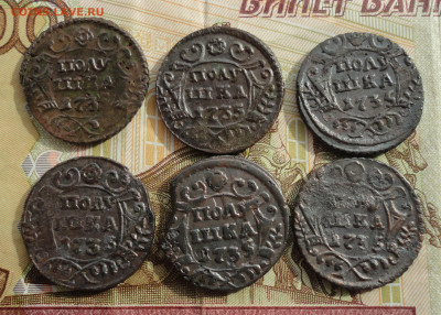 Кладовые полушки 1735 года. 6 монет. Лот №-4 До 6.04.22. - DSC09520.JPG