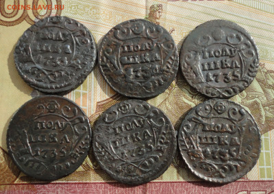Кладовые полушки 1735 года. 6 монет. Лот №-5 До 6.04.22. - DSC09523.JPG