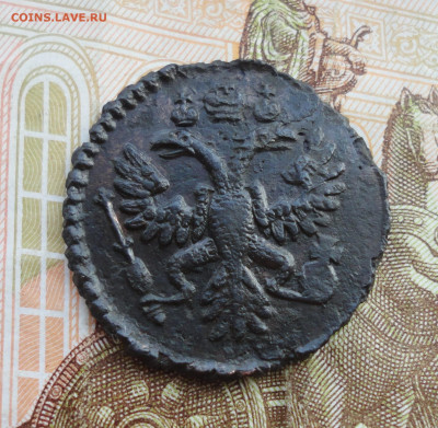 Кладовая полушка 1731 года. Лот №-3 До 6.04.22. - DSC09349.JPG