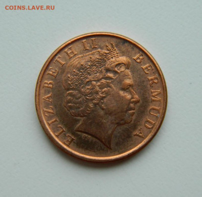 Бермудские острова 1 цент 2000 г. (Фауна). до 07.04.22 - DSCN4189.JPG